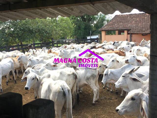 Fazenda para Venda em Araruama - 5