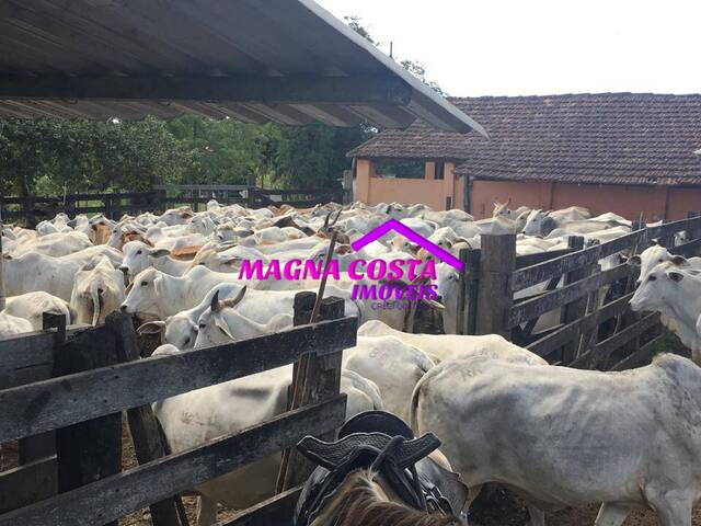 Fazenda para Venda em Araruama - 4