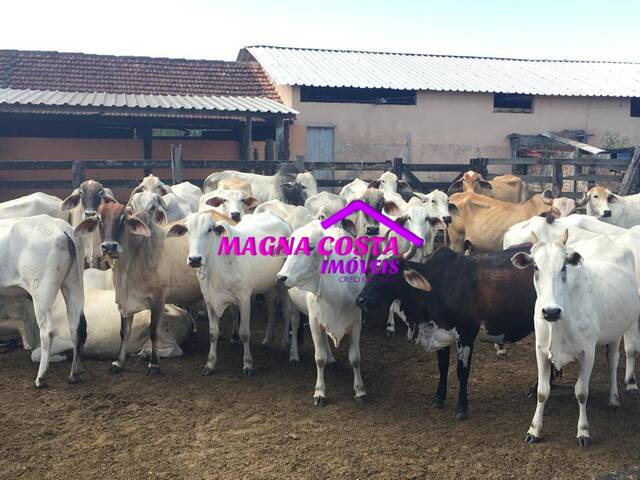 #MCI-0733 - Fazenda para Venda em Araruama - RJ