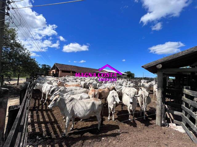 #MCI-0733 - Fazenda para Venda em Araruama - RJ
